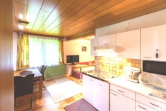 1_gaestehaus-apschner-web-34Cwieneralpen-kremsl